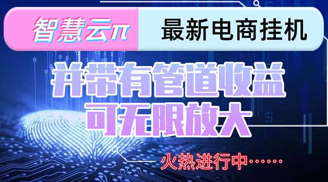 智慧云π电脑挂机单机每天收益300—500+ 并带有团队管道收益 可无限放大-优优云网创