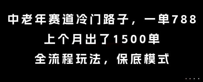 中老年赛道冷门路子，一单788，上个月出了1500单，全流程玩法，保底模式【揭秘】-优优云网创
